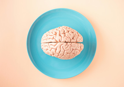 Brain tissue / CSF / SC