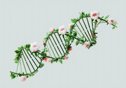 Genomics